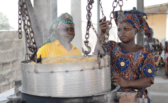 The rice industry,   an illustration of female entrepreneurial success