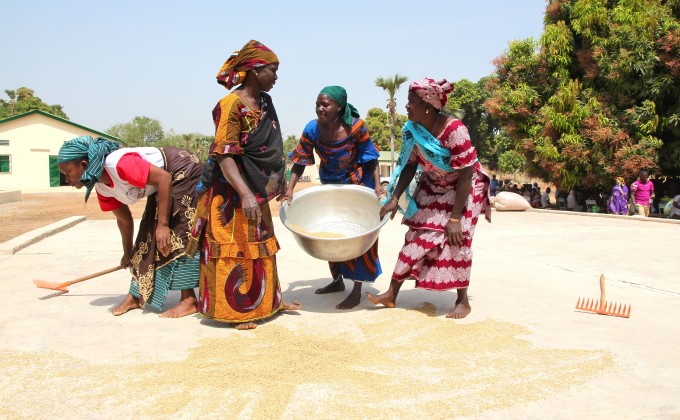 Renforcement du pouvoir économique des femmes. L’approche du ceci