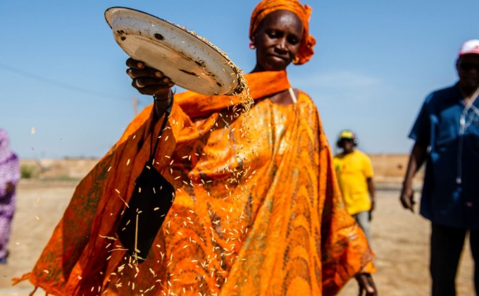 Focusing on agricultural development in southern Senegal 