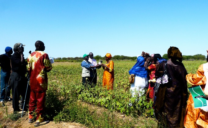  Volunteer Portrait: Fatou Seck, female entrepreneurship advisor in Senegal 