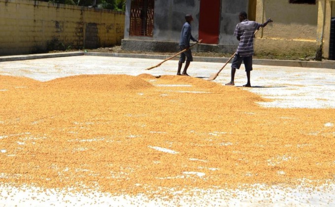 Une délégation de l’Alliance Agricole Internationale en visite dans la Région Nord d’Haïti