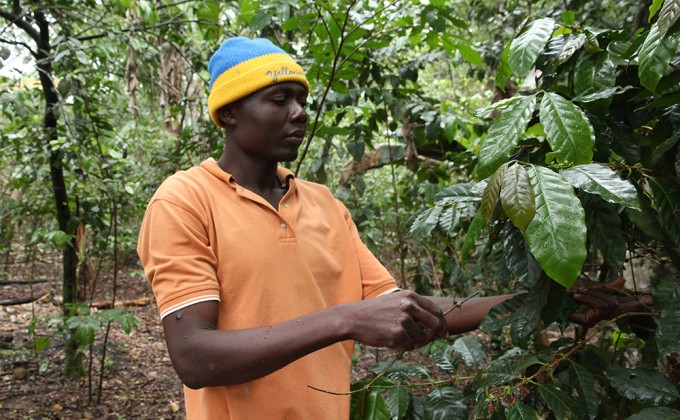 Travailler ensemble, main dans la main. Le bilan d’une mission haïtienne en sol canadien