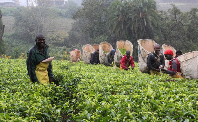 How can women transform the food industry for women?