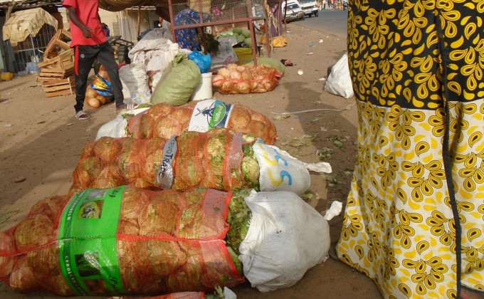 Women are champions of pandemic survival in Senegal and Burkina Faso