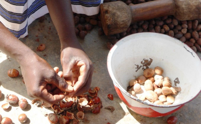 Communiqué de presse : Le CECI reçoit près de 1 M$ du gouvernement du Québec pour son projet au Burkina Faso