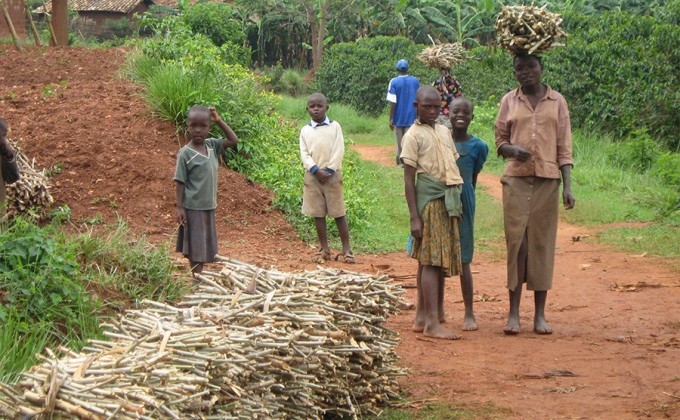 Rwanda, Burundi, République démocratique du Congo