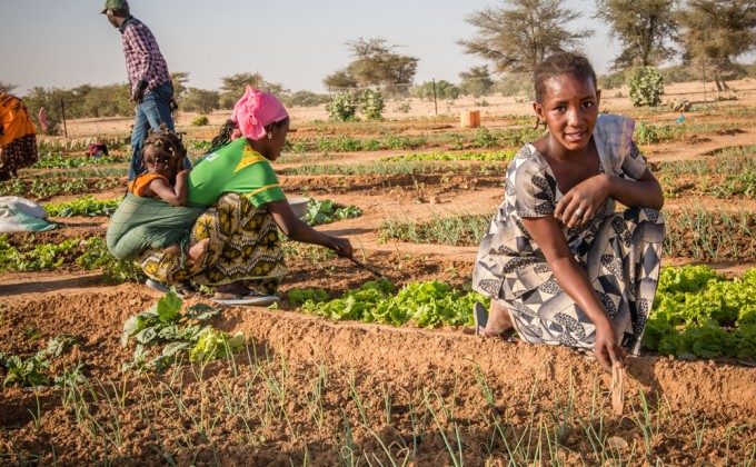 Sécurité alimentaire